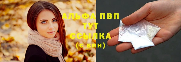 стаф Абинск