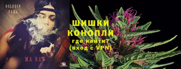 стаф Абинск