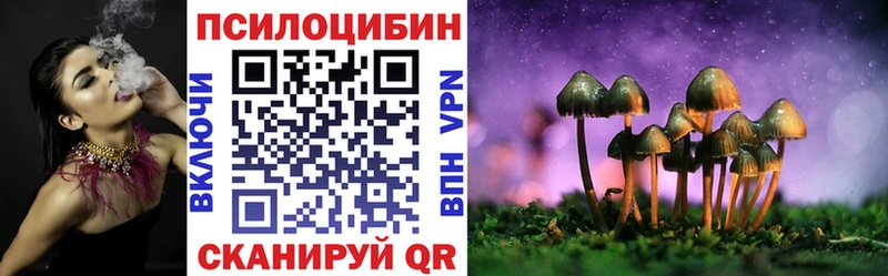 цена   Ливны  Галлюциногенные грибы Psilocybine cubensis 