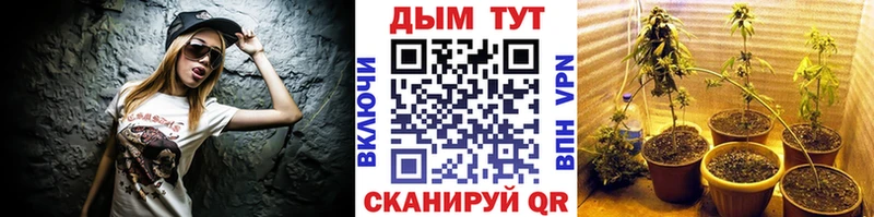 Конопля MAZAR  дарнет шоп  Ливны 